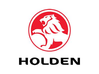 Holden Torana dash mat