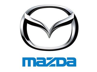 Mazda Commercial dash mat