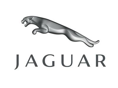 Jaguar X Type dash mat
