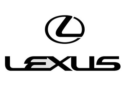 Lexus 470 Trapmats